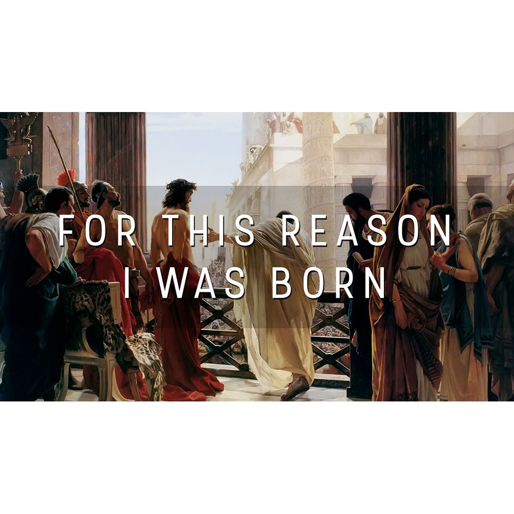For This Reason I Was Born - Re-Imagining the Future episode artwork