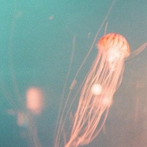 Parachute Pilot Instrumental