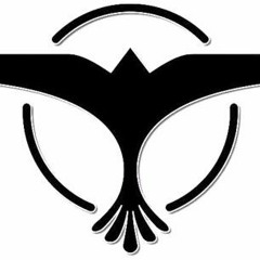 Chant While We're Young (One Direction//Tiesto)