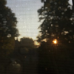Sunbright