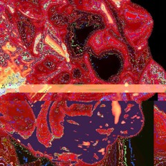 Portable Jesus - spider ball ring bit