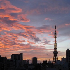 Sunrise Is A Bitch