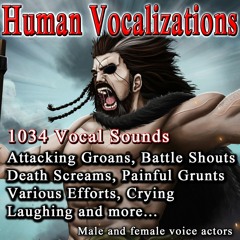 Human Vocalizations