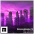 Thunderbeatz - Till The End (NishtStamm Remix)