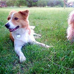 You'll See Me There B New