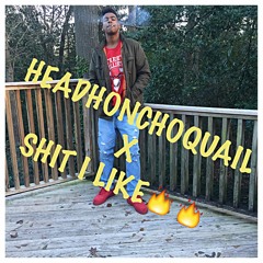 HeadHoncho Quail- Shit I Like (Prod. By ITrez & MT Skate).mp3
