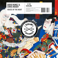 Dario Nunez & Chris Moody - Voices Of The Night [FREE DOWNLOAD]