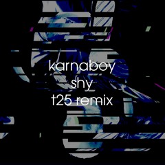 karnaboy - shy (t25 remix)