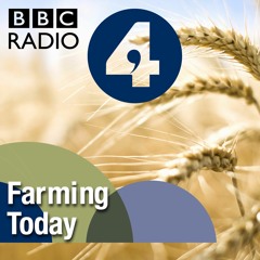 Radio 4, Farming Today. 15th August, 2016, Louise Chapman, Lady Molecatcher.