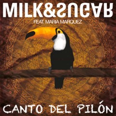 Milk & Sugar - Canto Del Pilon (Strong R. Remix)