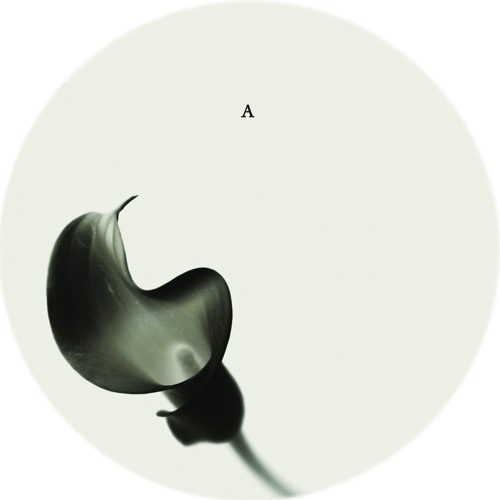 Ada Kaleh edit of Minus & Ion