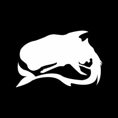 Fall [ft. Jared Sandhy] // Jonah's Flight