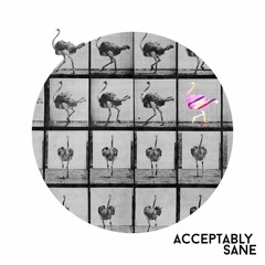 Acceptably Sane