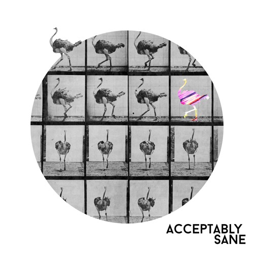 Acceptably Sane