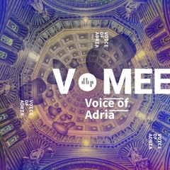 DHP Guestmix #45 - VOMEE