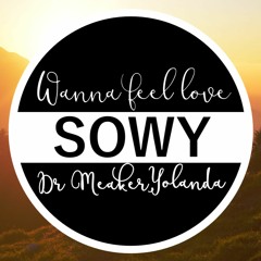 Dr Meaker - Wanna Feel Love feat. Yolanda (SOWY Remix)