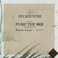 Pump The BEZ - u z z v Remix
