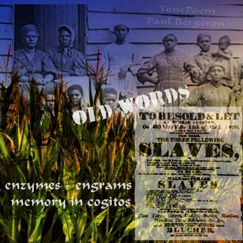 Old Words - enzymes to engrams - memory and family