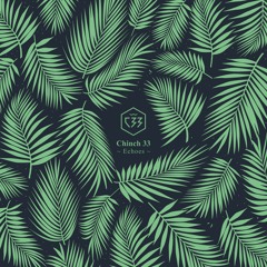 Chinch 33 - Echoes