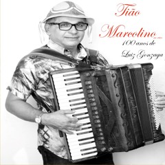 Faixa 13 Capim Novo Tião Marcolino 100 Anos De Luiz Gonzaga!