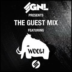 The Guest Mix Vol 2 - Mixed By Wooli