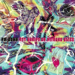 PM DAWN - Set Adrift On Memory Bliss True (Dj Nobody Wtf Re Edit)