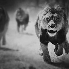 Douze heure Douze//Ganood