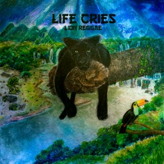 Colombian Coffee Eyes