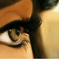 Don Omar - Dale don dale (Original).m4a