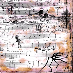 Call of the Bellbird