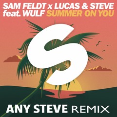Summer On You (Any Steve remix)