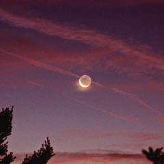 song 1 skeleton sketch