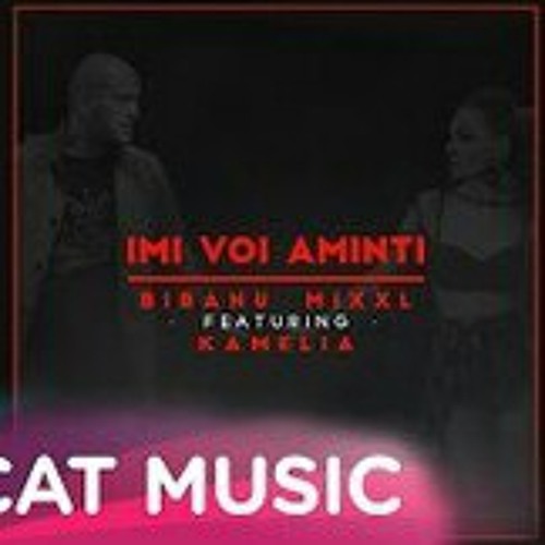 Bibanu MixXL feat. Kamelia - Imi voi aminti
