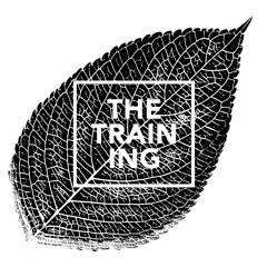 The Training · 160830