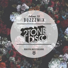 Buzzzmix Vol. 32 - 2ToneDisco