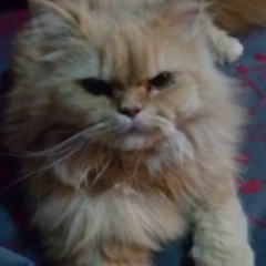 The Drums The Fills (Eddie M Remix)