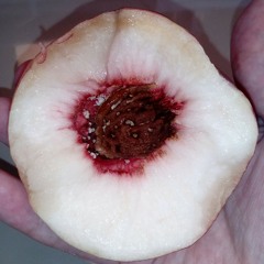 Elastic heart (sia cover)ukulele