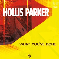 Hollis Parker - Parker's Lament (Remix)