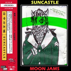 Wolf In Sheep's Combat Fatigues