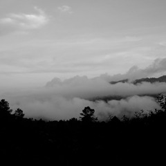 NAERLOT - The Seeds(Extended Version)