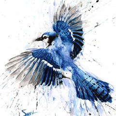 BlueJay @808Devil