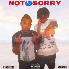 Deebo & Young Co - Sorry
