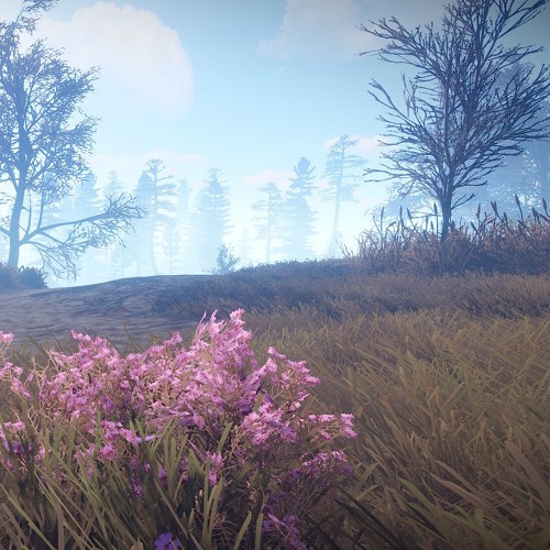 Rust - Fields