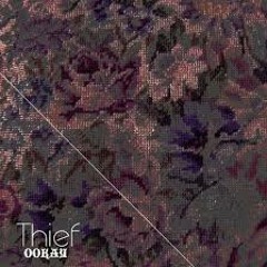 Thief vs. Thief (Remix) - Ookay & Slushii (LURKIN Mashup) FREE DOWNLOAD