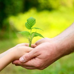 Loving Kindness Meditation