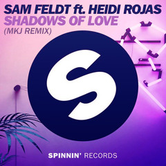 Sam Feldt - Shadows Of Love (MKJ Remix)(House Tunes X Release)