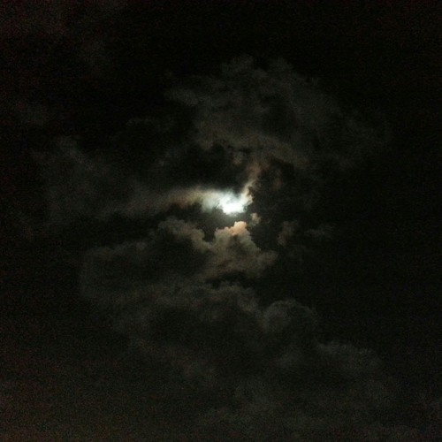 The Smashing Pumpkins - Take Me Down (acoustic cover)