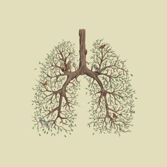 Vancouver Sleep Clinic - Lung (Nubbz Remix)