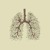 Artwork for Vancouver Sleep Clinic - Lung (Nubbz Remix)