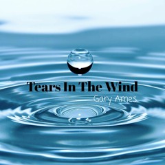 Tears In The Wind, Gary Ames